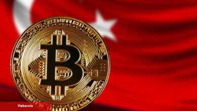 Türk Kripto Piyasası: Hangi Coinler ve Borsalar Öne Çıkıyor? - Haberois Türk Kripto Piyasası: Hangi Coinler ve Borsalar Öne Çıkıyor?