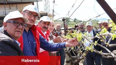 Türk üzümü dünya sofralarına kalıntısız ulaşıyor - Haberois Türk üzümü dünya sofralarına kalıntısız ulaşıyor