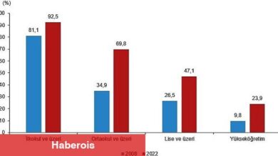 Ulusal Eğitim İstatistikleri, 2022
