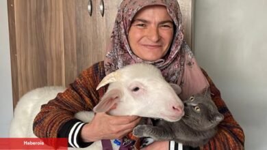 Ümmiye Hoş kuzuyla oy kullanmaya gitmişti! ‘Pamuk’ Lider Erdoğan’ın zaferini kutladı