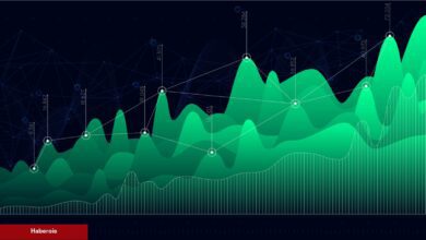 Ünlü Borsa, Çılgınca Yükselen Bu Altcoin’i Listeliyor!