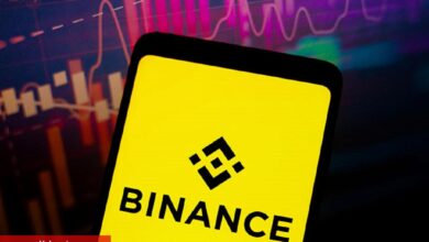 Ünlü Şirket, Binance’de Bu Altcoin’den Torbalarca Sattı!