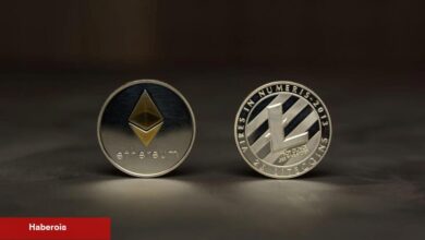 Yapay Zekadan Ethereum ve Litecoin İçin Fiyat Tahmini!