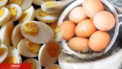 Yumurta haşlamada büyük hata! Bilinmeyen tehlikeyi uzmanlar açıkladı - Haberois Yumurta haşlamada büyük hata! Bilinmeyen tehlikeyi uzmanlar açıkladı