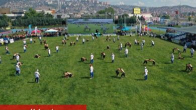 15. Sekapark Altınkemer Yağlı Güreşleri başladı