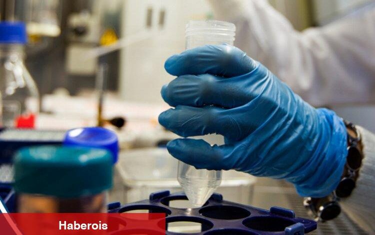 2216-B Bilimsel Değerlendirme Sonuçları belli oldu - Haberois 2216-B Bilimsel Değerlendirme Sonuçları belli oldu