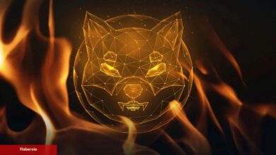 55 FinTech Uzmanından İnanılmaz Shiba Inu Tahmini!