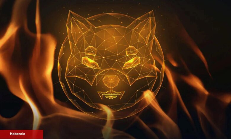 55 FinTech Uzmanından İnanılmaz Shiba Inu Tahmini!