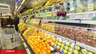 Aile bütçesinde aslan hissesi besin ve konutun