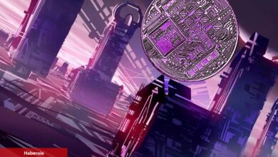 Akıllı Para Düşerken Sepetine Bu Altcoin’i Dolduruyor!