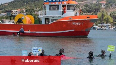 Aliağa Sahilde Deniz Temizliği Yapıldı