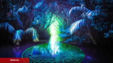 Altcoin Avcıları Dikkat: İşte Tabandan Toplanacak 10 Coin!