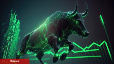 Analist: Bu Üç Altcoin Kısa Müddette Büyük Çıkarlar Elde Edecek!