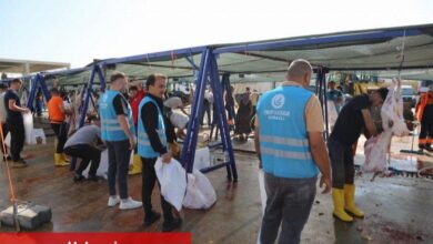Ankara Ülkü Ocakları 400 kurban kesti - Haberois Ankara Ülkü Ocakları 400 kurban kesti