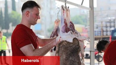 Antalya Büyükşehir Belediyesi, bu yıl da Kurban Bayramı nedeniyle ücretsiz kurban kesim hizmeti verecek. - Haberois Antalya Büyükşehir Belediyesi, bu yıl da Kurban Bayramı nedeniyle ücretsiz kurban kesim hizmeti verecek.