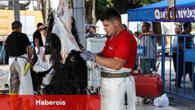 Antalya Büyükşehir'den 3 farklı noktada ücretsiz kurban kesim hizmeti - Haberois Antalya Büyükşehir'den 3 farklı noktada ücretsiz kurban kesim hizmeti