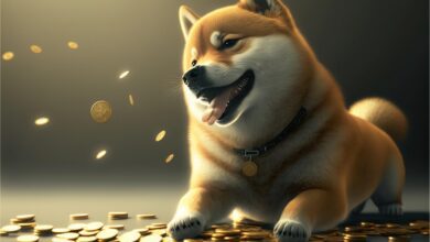 Artık İzlenecek Göğüs Coinler Hangileri? İşte Tahminler! - Haberois Artık İzlenecek Göğüs Coinler Hangileri? İşte Tahminler!