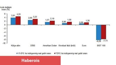 Aylık en yüksek reel getiri külçe altında oldu - Haberois Aylık en yüksek reel getiri külçe altında oldu