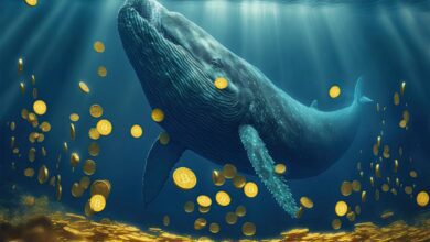 Balinalar Bu 2 Altcoin’i Tabandan Topluyor! Fiyat Fırlar mı? - Haberois Balinalar Bu 2 Altcoin’i Tabandan Topluyor! Fiyat Fırlar mı?