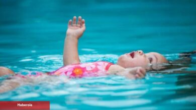 Bebekler havuza ya da denize girebilir mi?