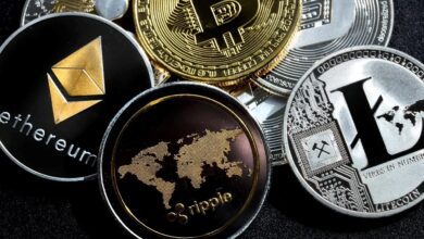 Berenberg: SEC’in Sıradaki Maksatları Bu Altcoinler Olabilir!