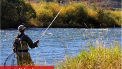 Bilecik iç sularında av yasağı sona erdi