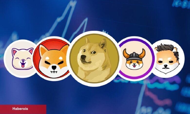 Bilgiler Bu Göğüs Coin İçin Ufukta Bir Toparlanma Gösteriyor!
