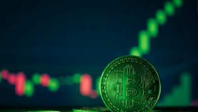 Bitcoin’in Ötesine Bakmak: Bu 8 Altcoin Pik Yapabilir! - Haberois Bitcoin’in Ötesine Bakmak: Bu 8 Altcoin Pik Yapabilir!