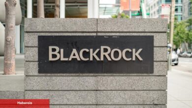 BlackRock ETF Haberi Ne Kadar Tesirli? Santiment Cevapladı…