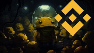 Bu Altcoin, Binance Listeleme Söylentisiyle Manşetlerde!