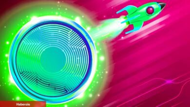 Bu Altcoin Bitcoin’i Geride Bıraktı! Yükselişin Ardında Ne var?