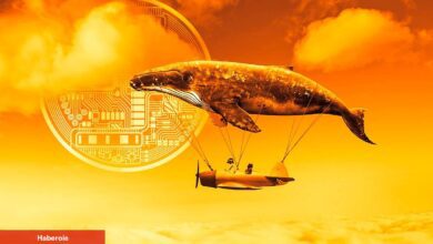 Bu Altcoin CBDC Challenge’ı Başlattı! Balinalar Tabandan Topluyor!