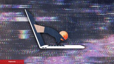 Bu Altcoin Kurucusu Dolandırıcılara İsyan Etti: Çılgınlık!