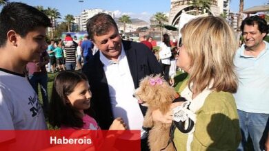 Can dostlar Patiyaka'da buluştu! - Haberois Can dostlar Patiyaka'da buluştu!