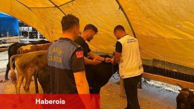 Canik'te Bayram Hazırlıkları Son Sürat