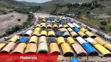 Çankaya'da Kurban Bayramı Mühye'de karşılandı - Haberois Çankaya'da Kurban Bayramı Mühye'de karşılandı