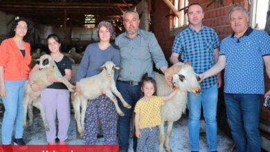 Çiftçiye "koç" gibi destek