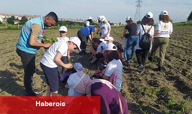 Çocuklar yerel fideleri toprakla buluşturdu
