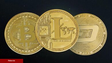 DASH Gerçekleştirdi! Artık Hangi Coinler Halving Hazırlığında? - Haberois DASH Gerçekleştirdi! Artık Hangi Coinler Halving Hazırlığında?