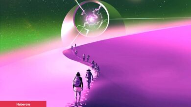 Dev İddiacı ‘Dipten Toplayın’ Dedi! İşte 11 Altcoin İsmi! - Haberois Dev İddiacı ‘Dipten Toplayın’ Dedi! İşte 11 Altcoin İsmi!