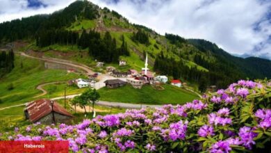 Doğu Karadeniz’in gizli cennetlerini yayla tatili ile keşfedin