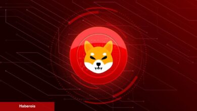 Dolandırıcılık Uyarısı Yapıldı! Shiba Inu Yatırımcıları Dikkat! - Haberois Dolandırıcılık Uyarısı Yapıldı! Shiba Inu Yatırımcıları Dikkat!