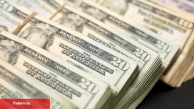 Dolar/TL'de yükseliş sürüyor, gecelik getiri negatif