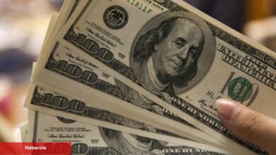 Döviz kurundaki yükseliş sonrasında internet satışları iptal edilmeye başlandı!