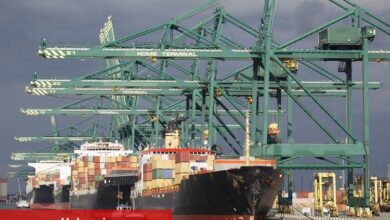Ege ihracatçılarının tarım ihracatı 8 milyar dolara koşuyor - Haberois Ege ihracatçılarının tarım ihracatı 8 milyar dolara koşuyor
