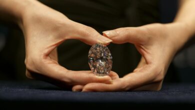 Elmas Eller, 5 Yıl Sonra Elindeki Altcoin’leri Sattı! - Haberois Elmas Eller, 5 Yıl Sonra Elindeki Altcoin’leri Sattı!