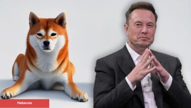 Elon Musk, Dogecoin Hakkındaki Argümanları Yalanladı! - Haberois Elon Musk, Dogecoin Hakkındaki Argümanları Yalanladı!