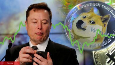 Elon Musk Yeniden Dogecoin Dedi: DOGE İçin Kâfi Olacak Mı?