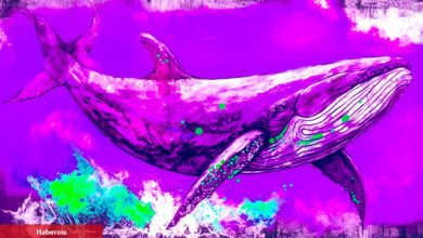 En Büyük 1.000 Balina, AVAX ve Bu Altcoinlerin Peşinde!