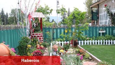 En güzel balkon ve bahçe yarışması sonuçlandı - Haberois En güzel balkon ve bahçe yarışması sonuçlandı